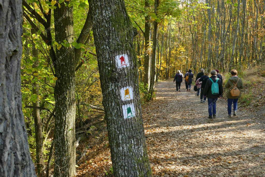 Turizmus - Királyrét - Természetjárók a Börzsöny őszi erdejében