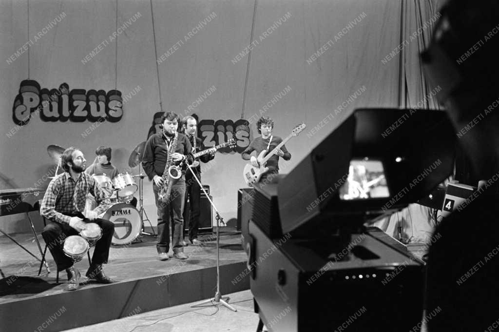 Televízió - Pulzus