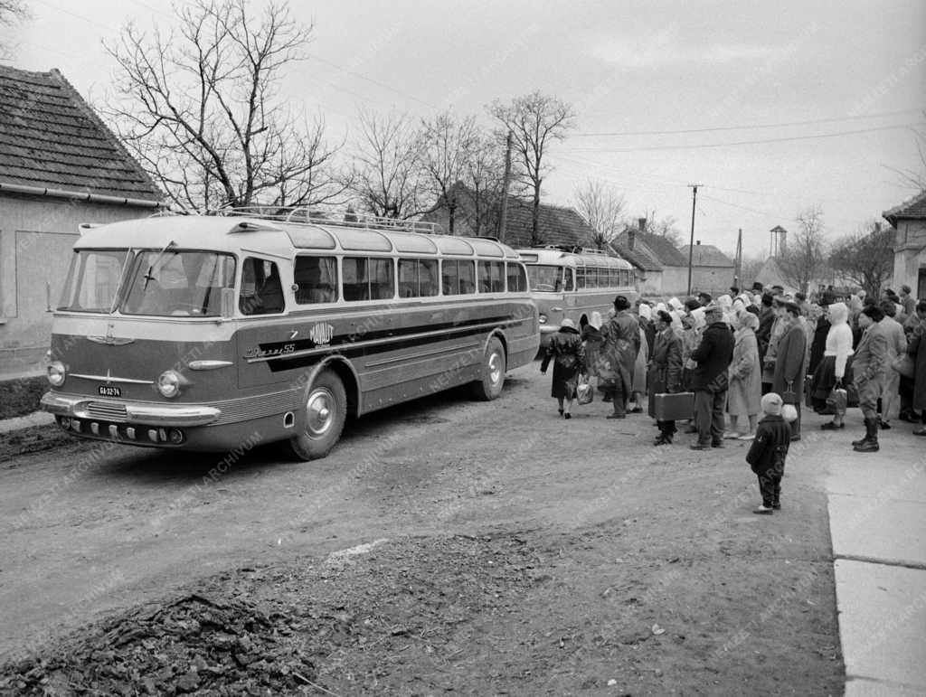 Mezőgazdaság - Zalavári Új Idők Termelőszövetkezet
