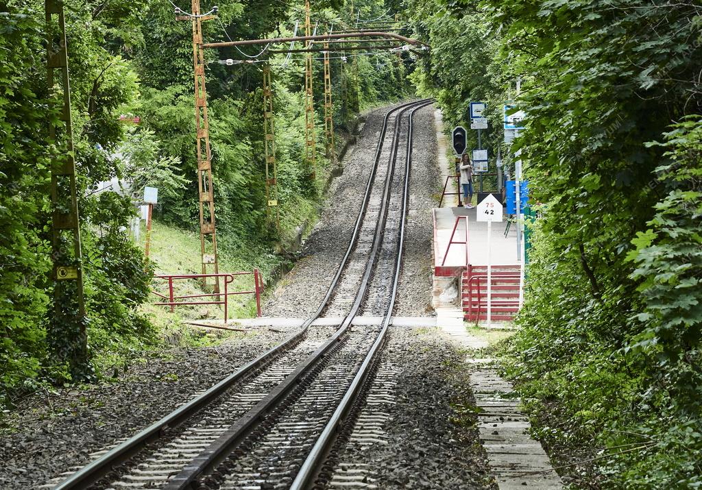 Közlekedés - Budapesti fogaskerekű vasút