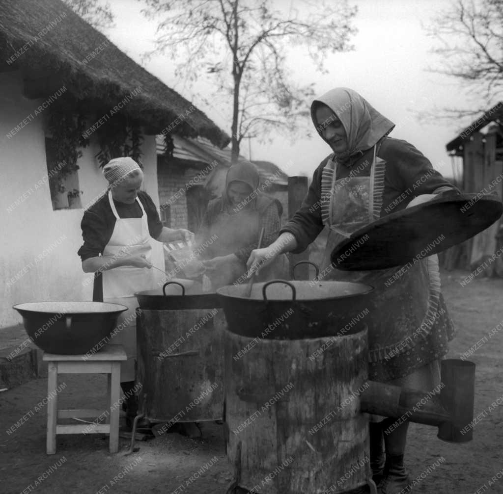 Család - Esküvő Százhalombattán