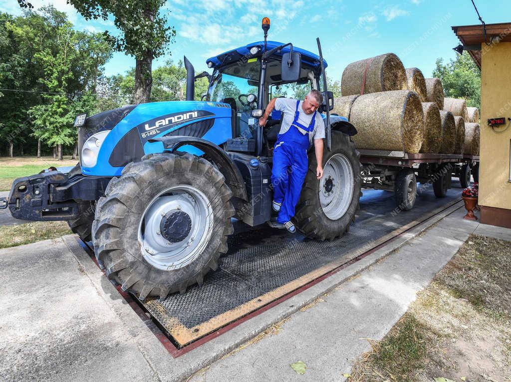 Mezőgazdaság - Hajdúnánás - Véget ért a búza aratása