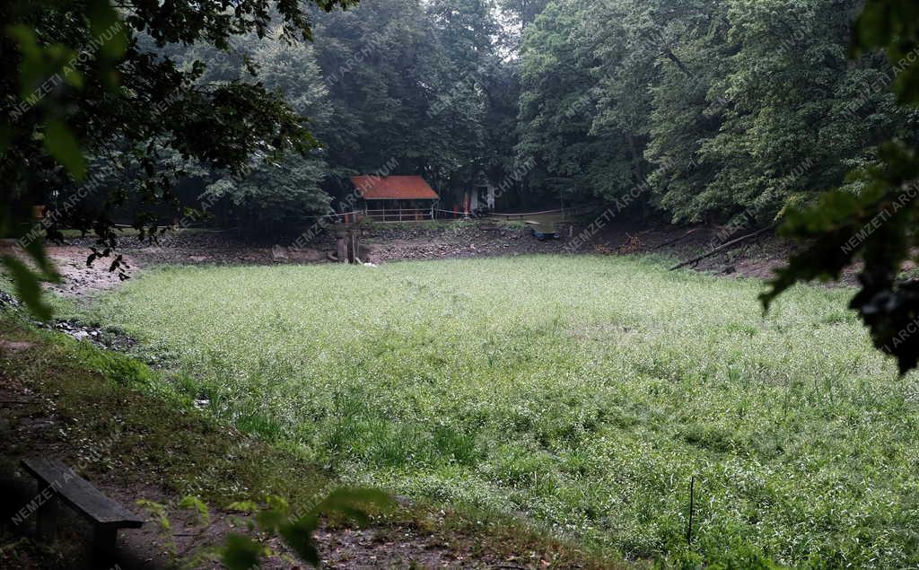 Tájkép - Természetvédelem - Kiszáradt a Királyréti horgásztó