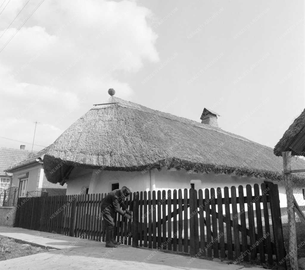 Kultúra - A felújított tardi üstökös ház