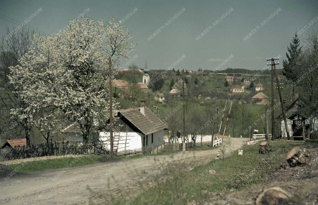 Táj - Őrség - Szalafő