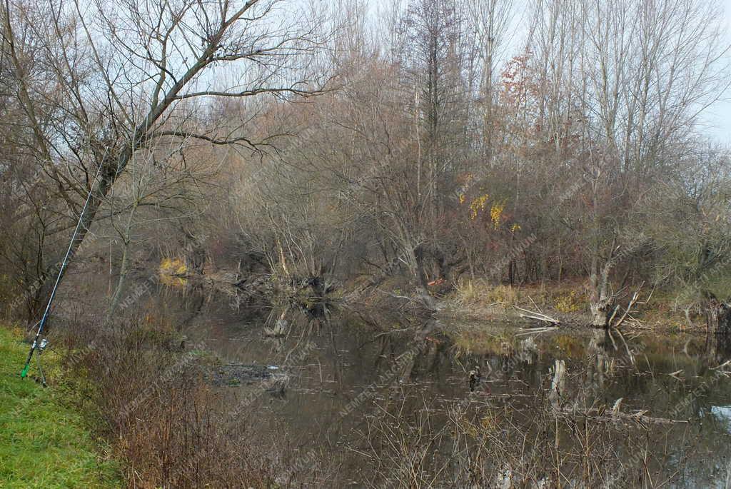 Természet - Letkés - Ipoly holtág