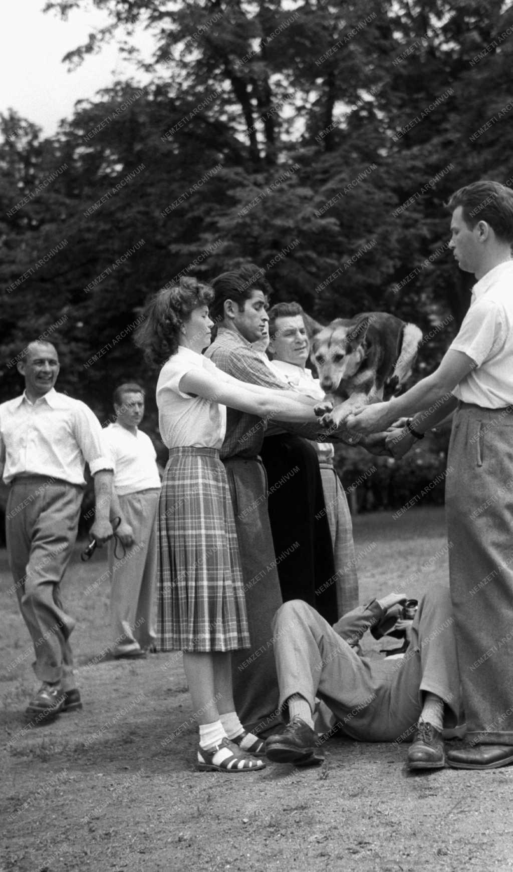 Kiállítás - Országos Kutyakiállítás és Vásár