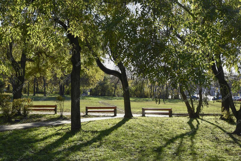 Városkép - Budapest - Szabadság park Újpesten