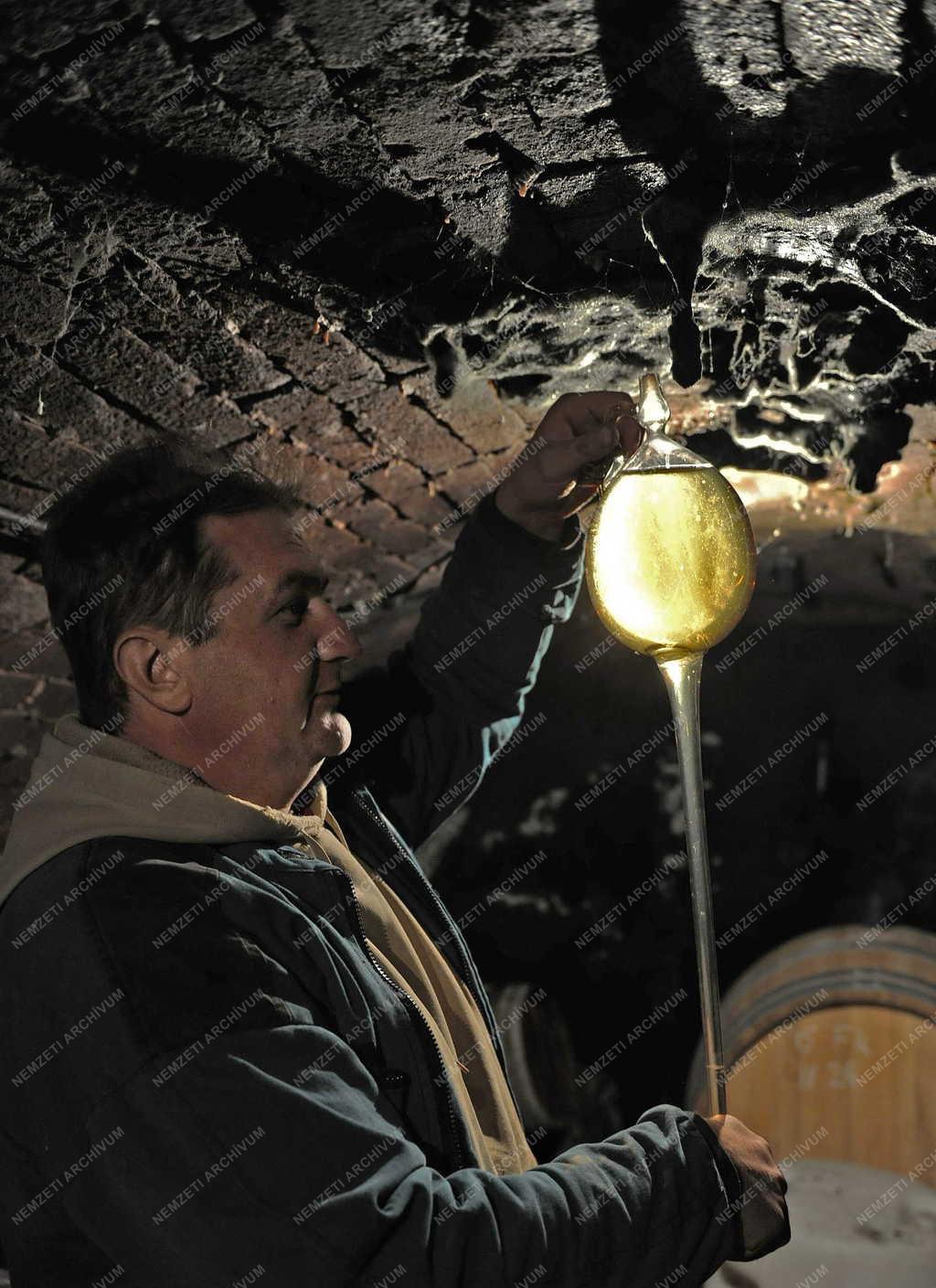 Borászat - Tokaj - A Paulay Borház borpincéje