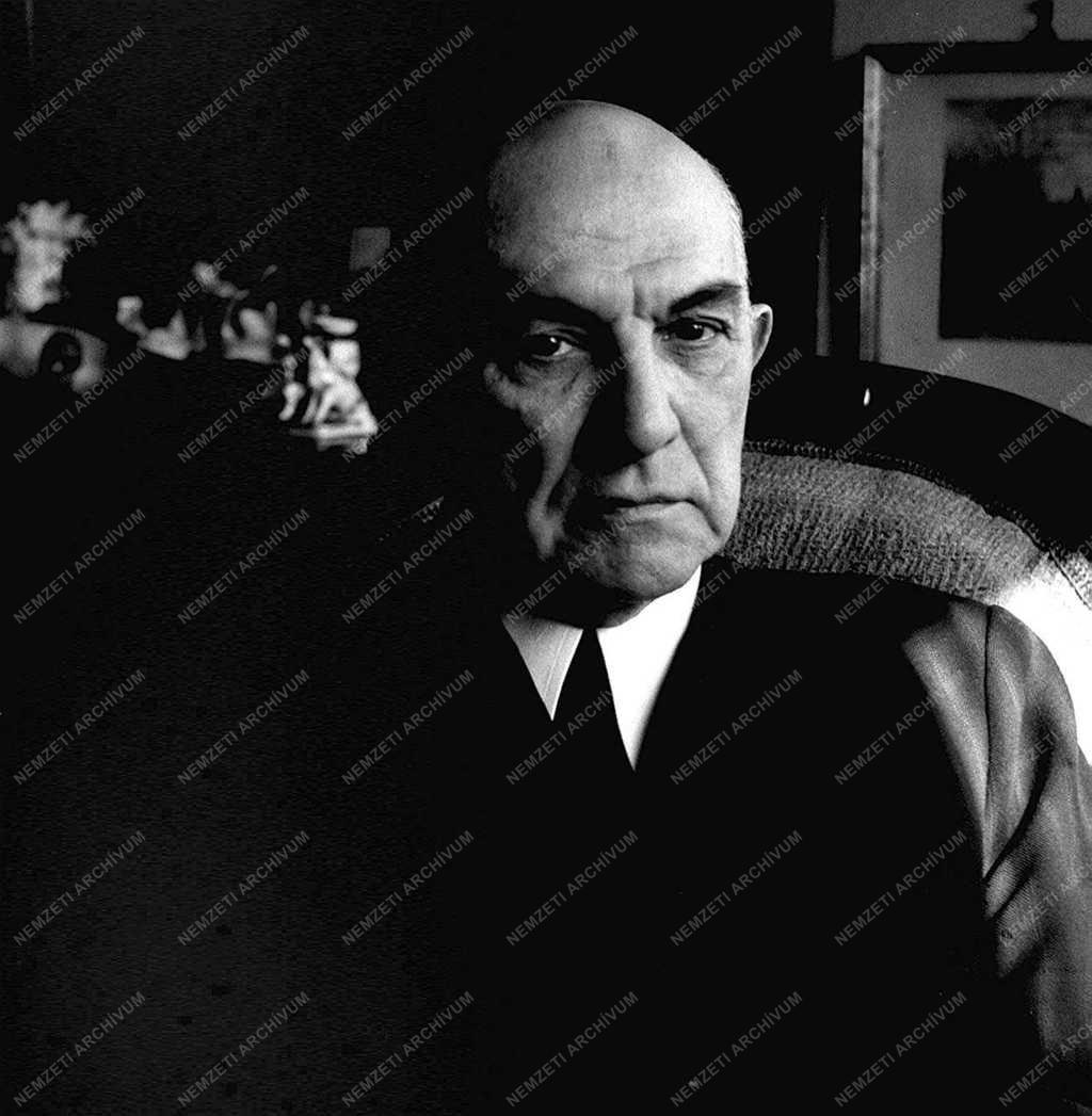 Csathó Kálmán író, akadémikus