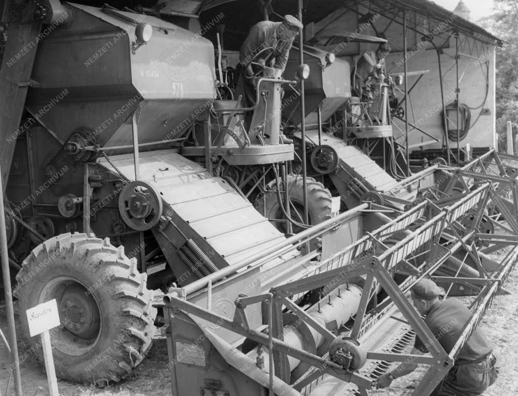 Mezőgazdaság - Aratásra készülnek Bátaszéken