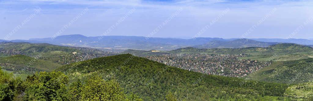 Természet - Budapest - Hárshegy