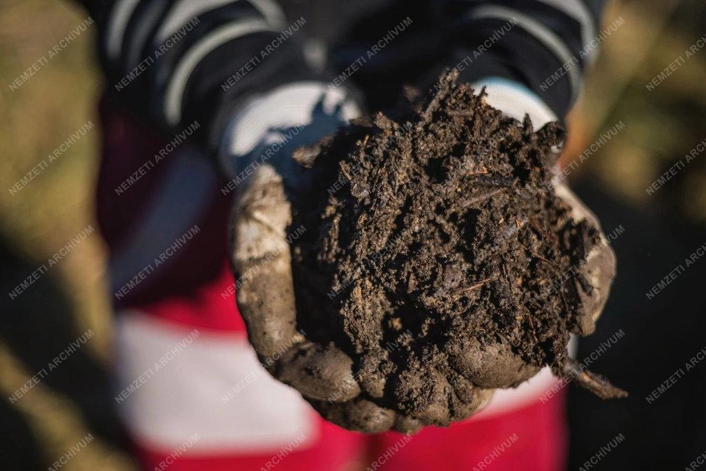 42. Magyar Sajtófotó Pályázat