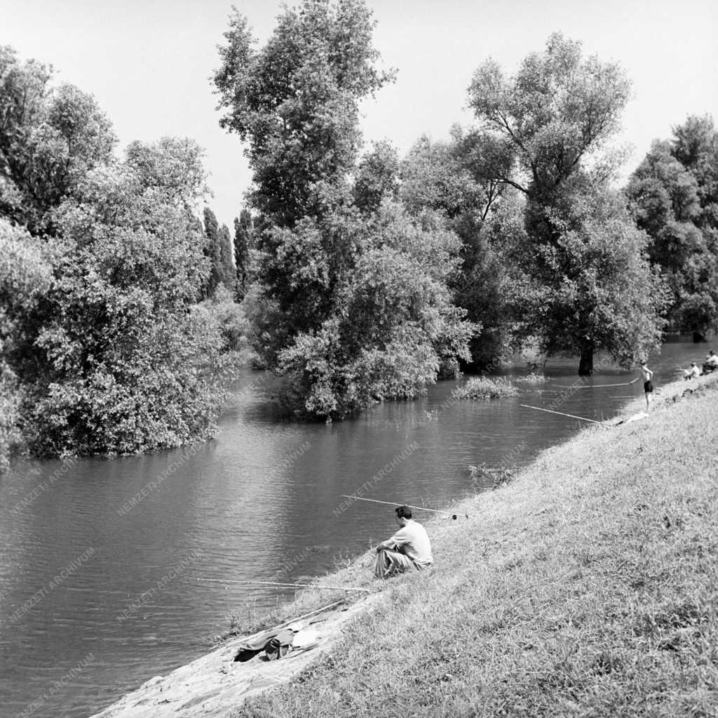 Szabadidő - Életkép - Horgász