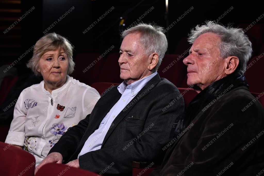 Televízió - Magyar filmek új köntösben