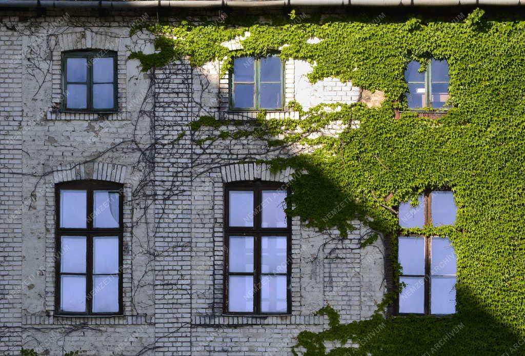 Épület - Budapest - Vadszőlővel benőtt épület