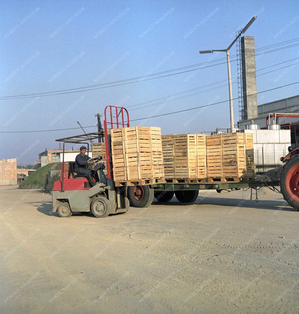 Mezőgazdaság - Hosszúhegyi Állami Gazdaság 