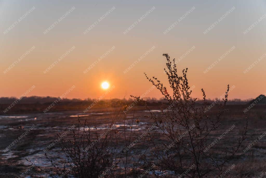 Természet - Szigetszentmiklós - Napfelkelte 