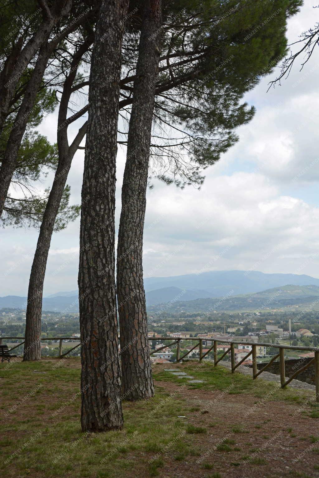 Városkép - Arezzo 