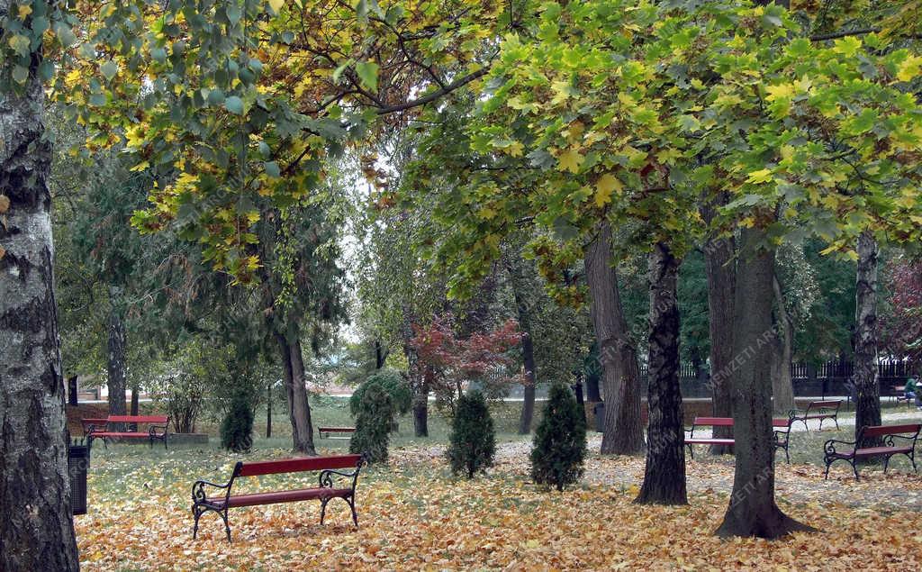 Városkép - Révkomárom - Ősz az Anglia parkban