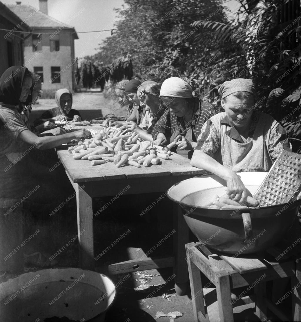 Szociális probléma - Hajléktalanszálló a Kerepesi úton