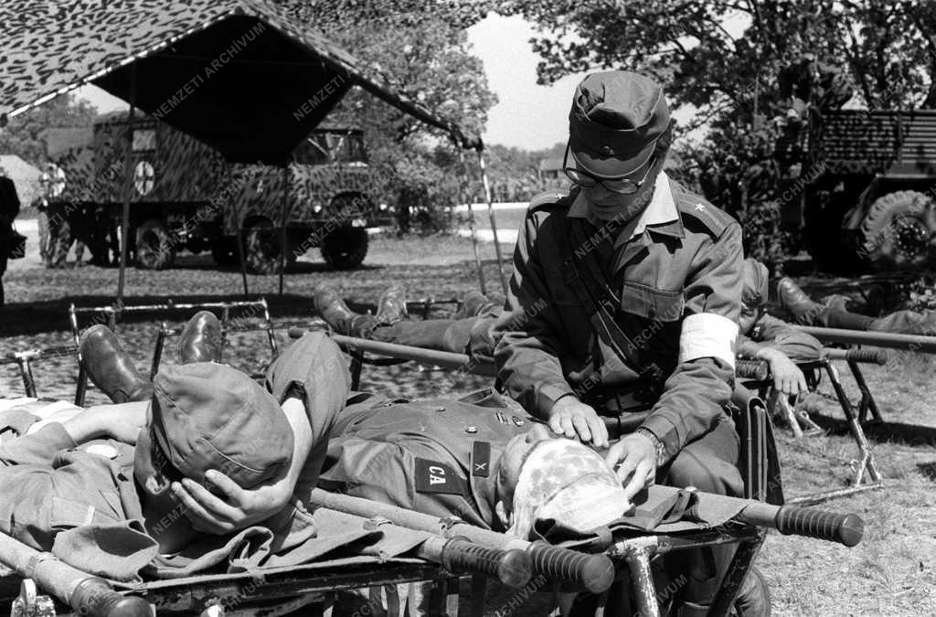 Pajzs '79 - a Varsói Szerződés tagállamainak közös hadgyakorlata