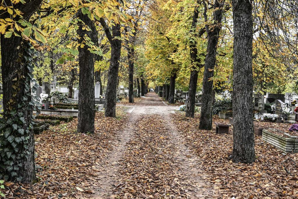 Temető - Budapest - Új köztemető