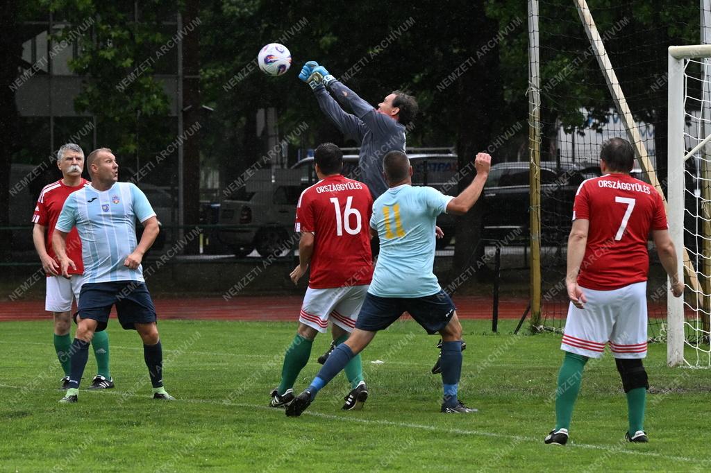 Az V. Nemzeti Összetartozás Labdarúgó Torna