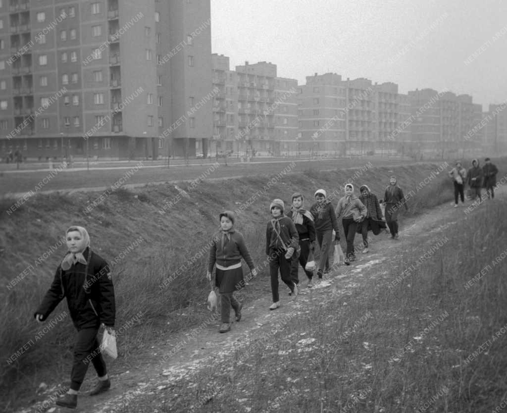 Évforduló - Felszabadulási akadályverseny Angyalföldön