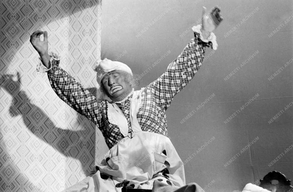 Kultúra - Televízió - Az Alfonzó Show című tv-műsor forgatása