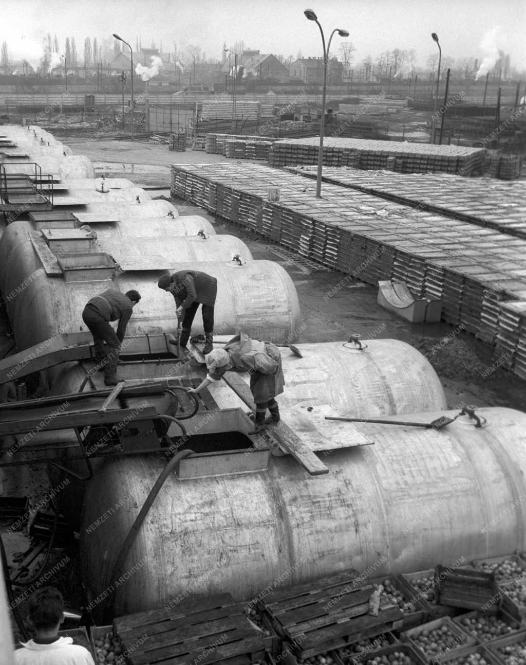 Élelmiszeripar - Nyíregyházi konzervgyár