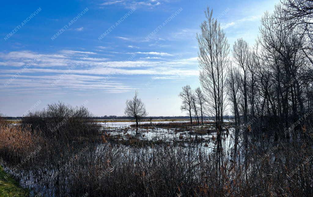 Természetvédelem - 50 éves a Hortobágyi Nemzeti Park