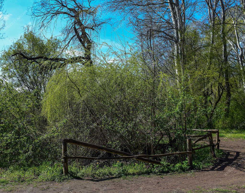 Tájkép - Vekeri-tó