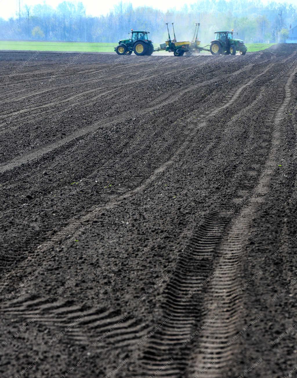 Mezőgazdaság - Debrecen - Kukoricavetés 