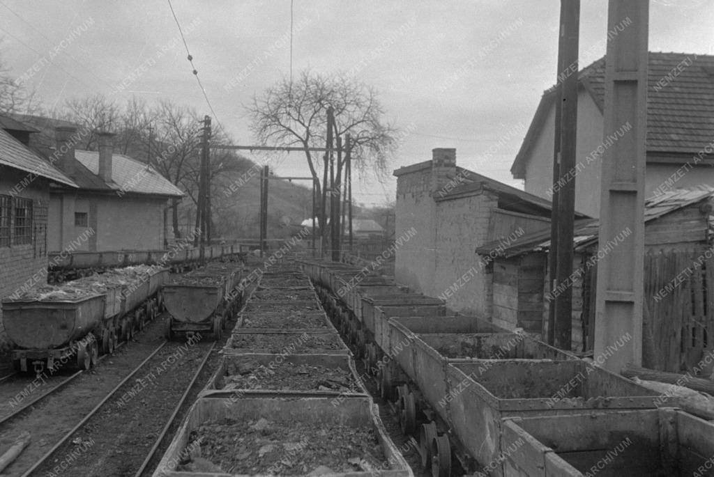 Széncsata (Salgótarján)