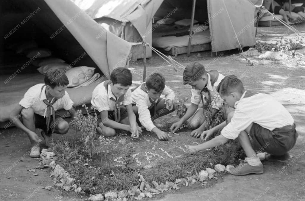 Csillebérci Úttürő Tábor