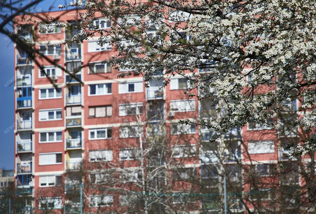 Városkép - Budapest - Kőbánya Újhegyi lakótelep