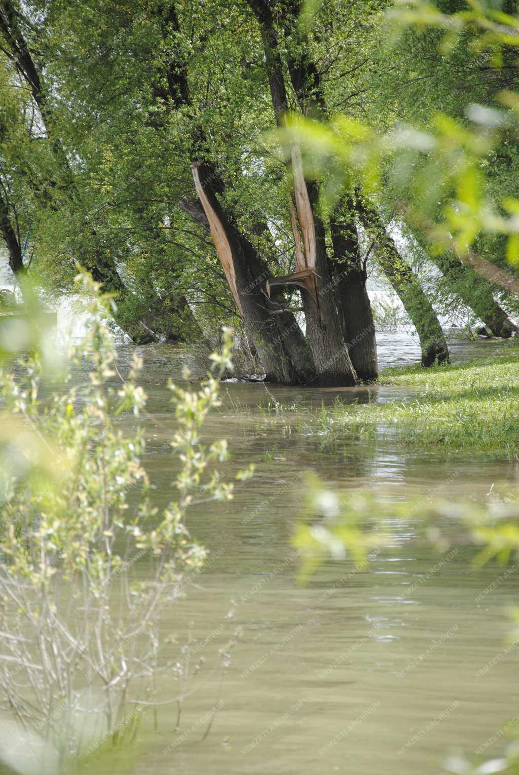 Árvíz - Szentendre - Árad a Duna a Szentendrei szigetnél
