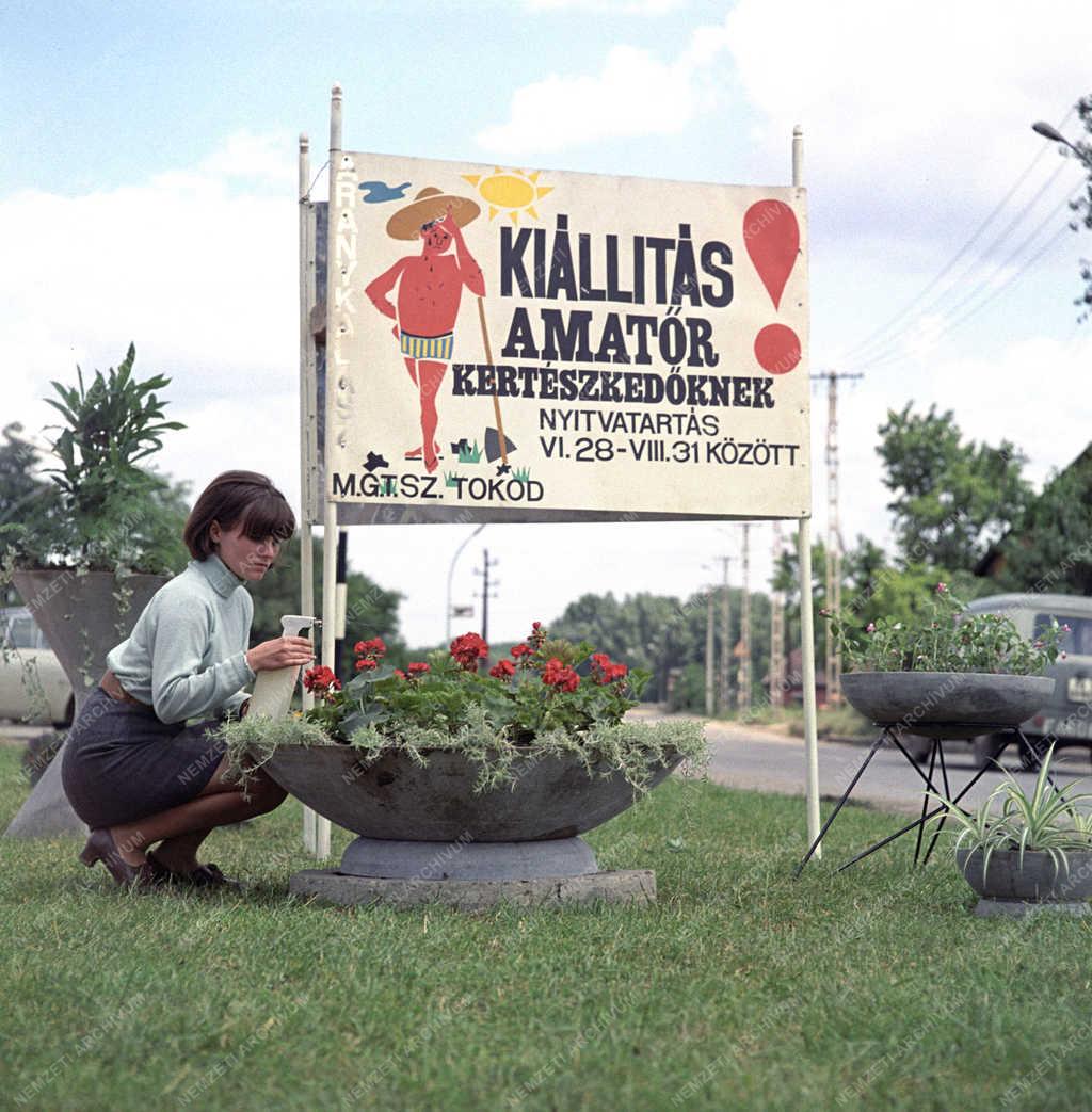 Szabadidő - Kiállítás amatőr kertészkedőknek