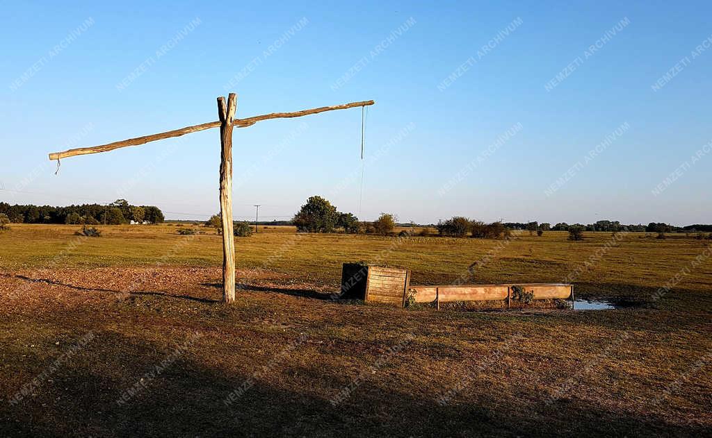 Természet - Kerekegyháza - Birkaitató a kiskunsági pusztán