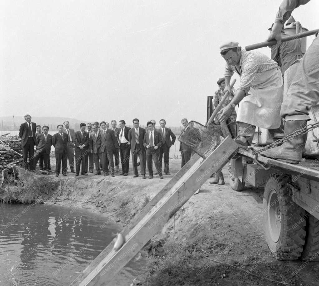 Külkapcsolat - Ho Dam, a KNDK külügyminisztere Balatonfenyvesen