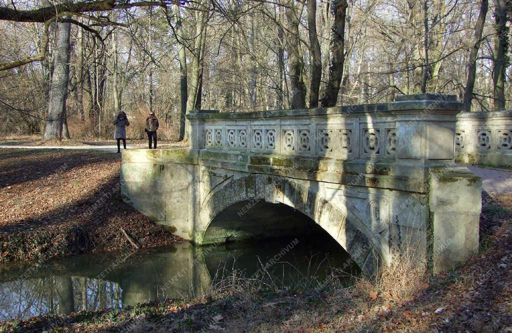 Természet - Alcsútdoboz - Az arborétum kora tavasszal