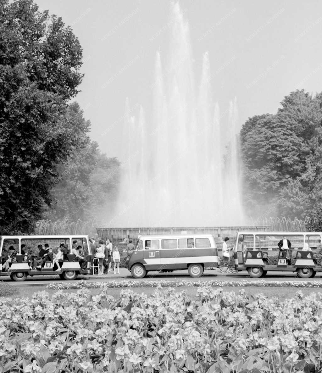 Természet-környezet - Kirándulóbuszok a Margit-szigeten