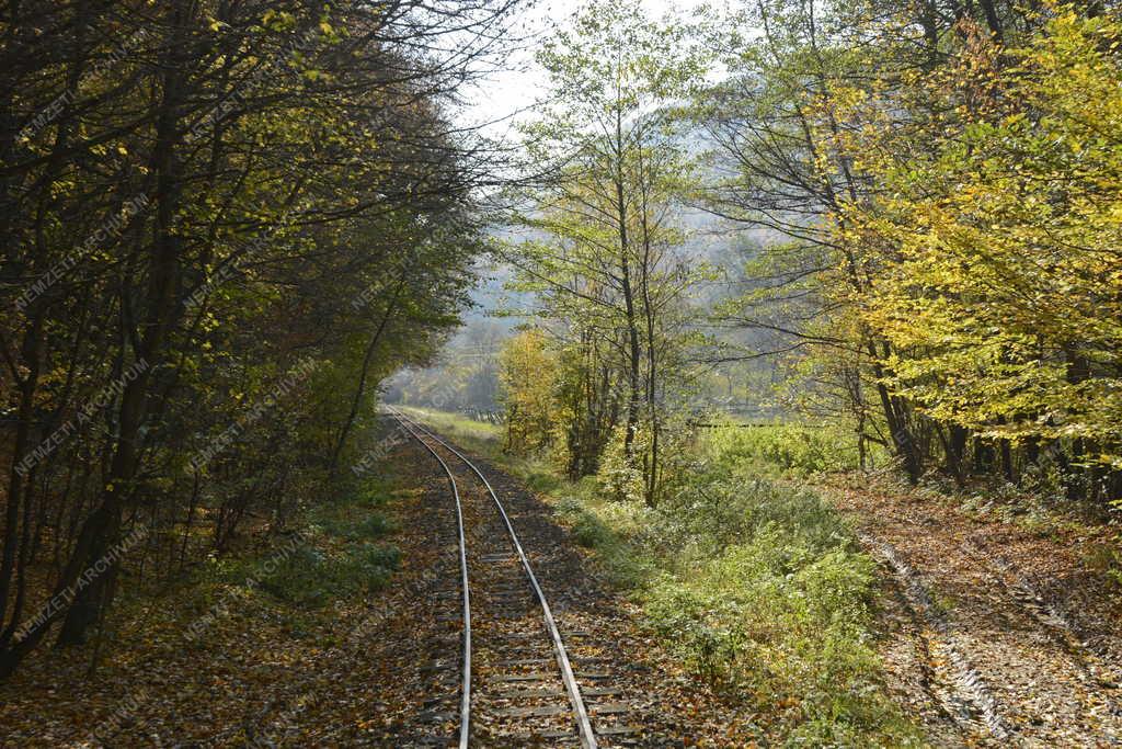 Közlekedés - Kismaros - Királyréti Erdei Vasút