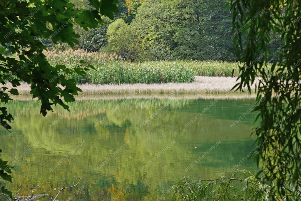 Természet - Szilvásvárad - Szalajka-völgy