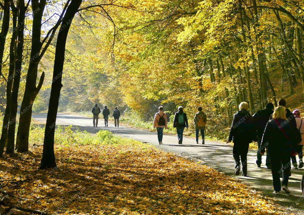 Turizmus - Természetjárók z őszi Börzsönyben