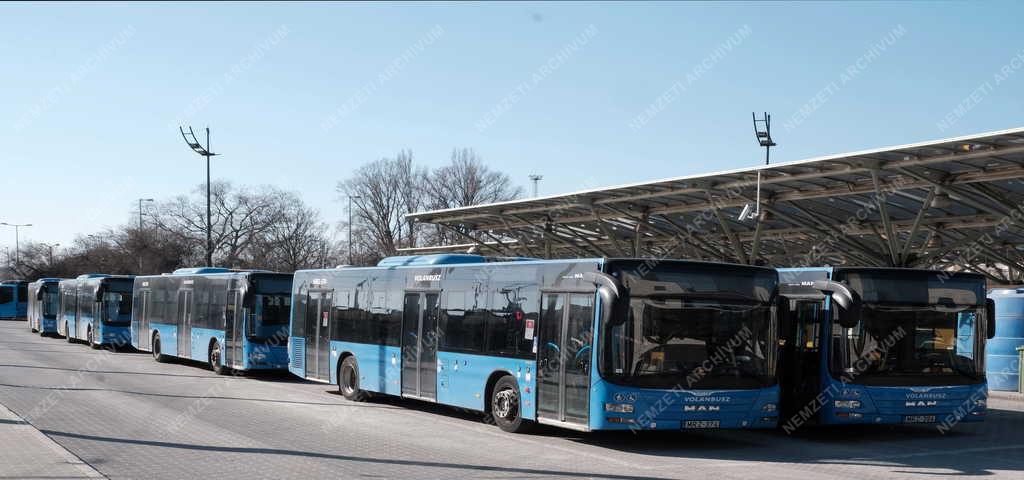 Közlekedés - Budapest - Etele téri autóbuszpályaudvar