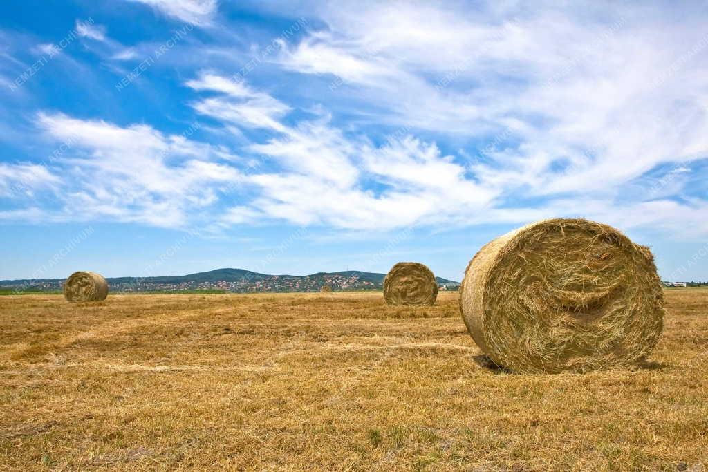 Mezőgazdaság - Velence - Szalmabálák