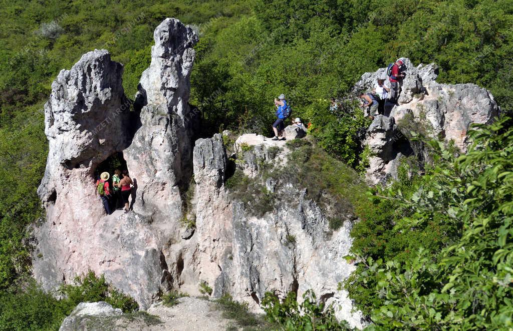 Turizmus – Pilisborosjenő – Látogatók a Teve-sziklánál