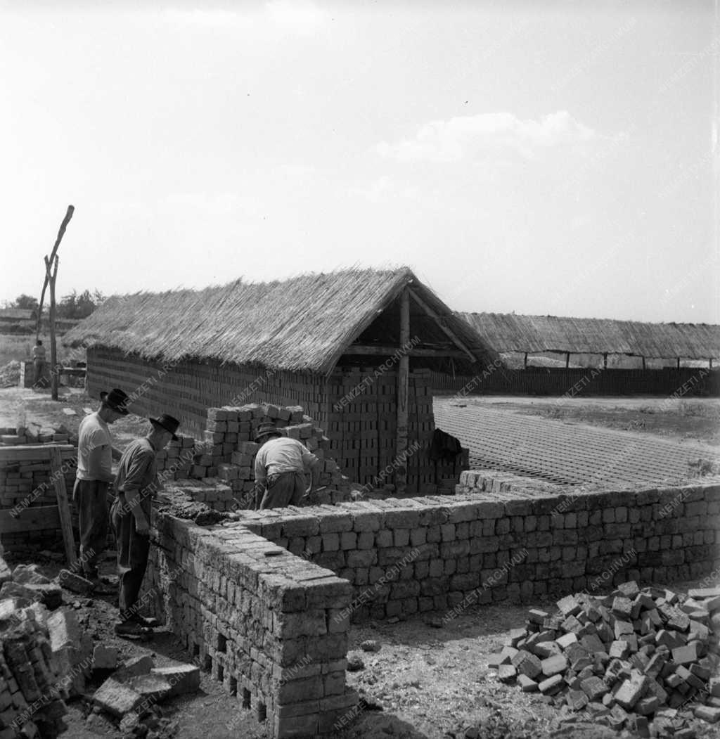Gazdaság - Táncsics TSZ - Téglaégető